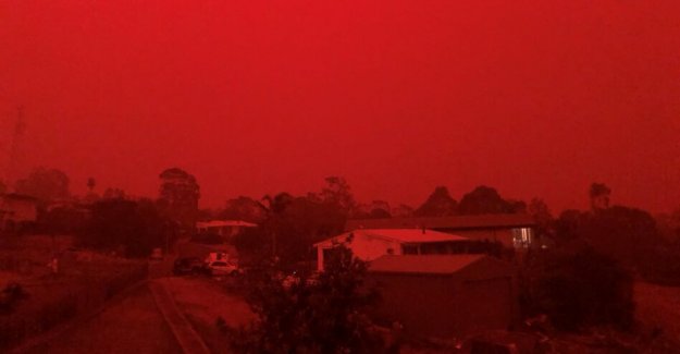Forest fires in Australia: The Chernobyl of the climate crisis