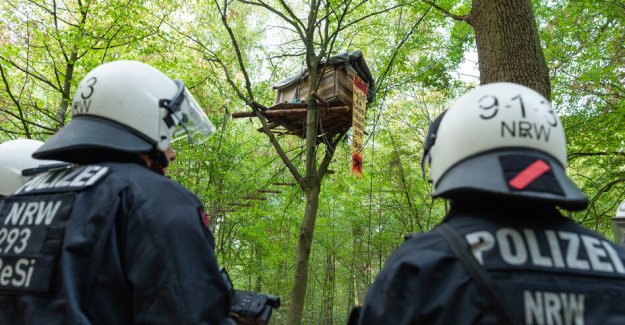 Judgments of the hambach forest: Six months wrongfully in jail