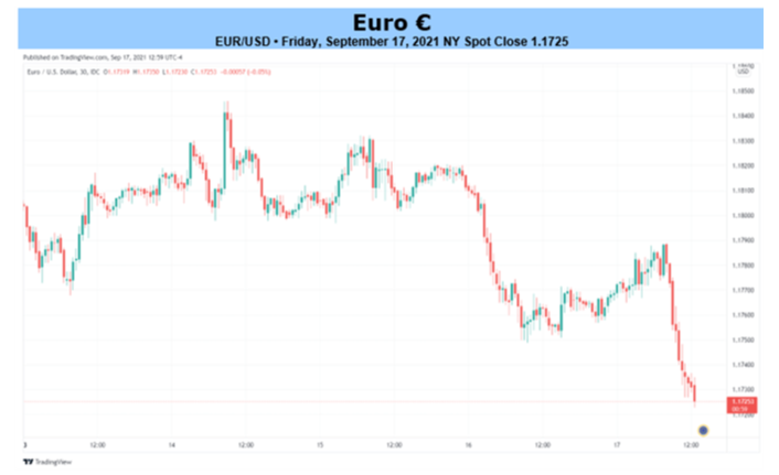 Euro Forecast: The EUR/USD price may fall ahead of the German Election