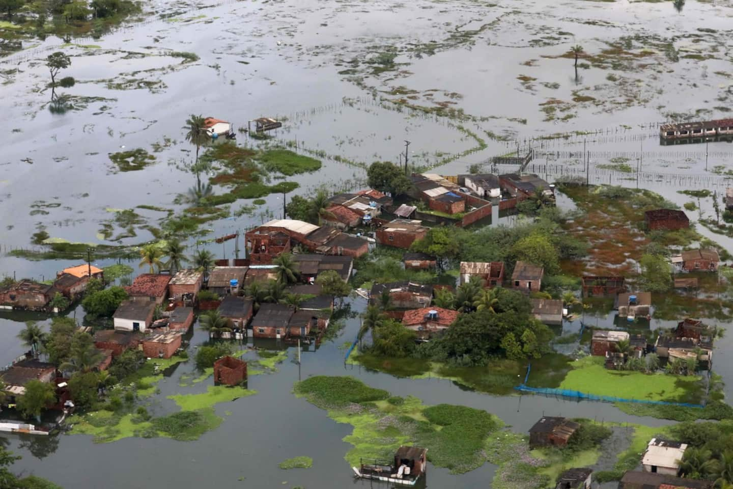 Torrential rains in Brazil: death toll rises to 100