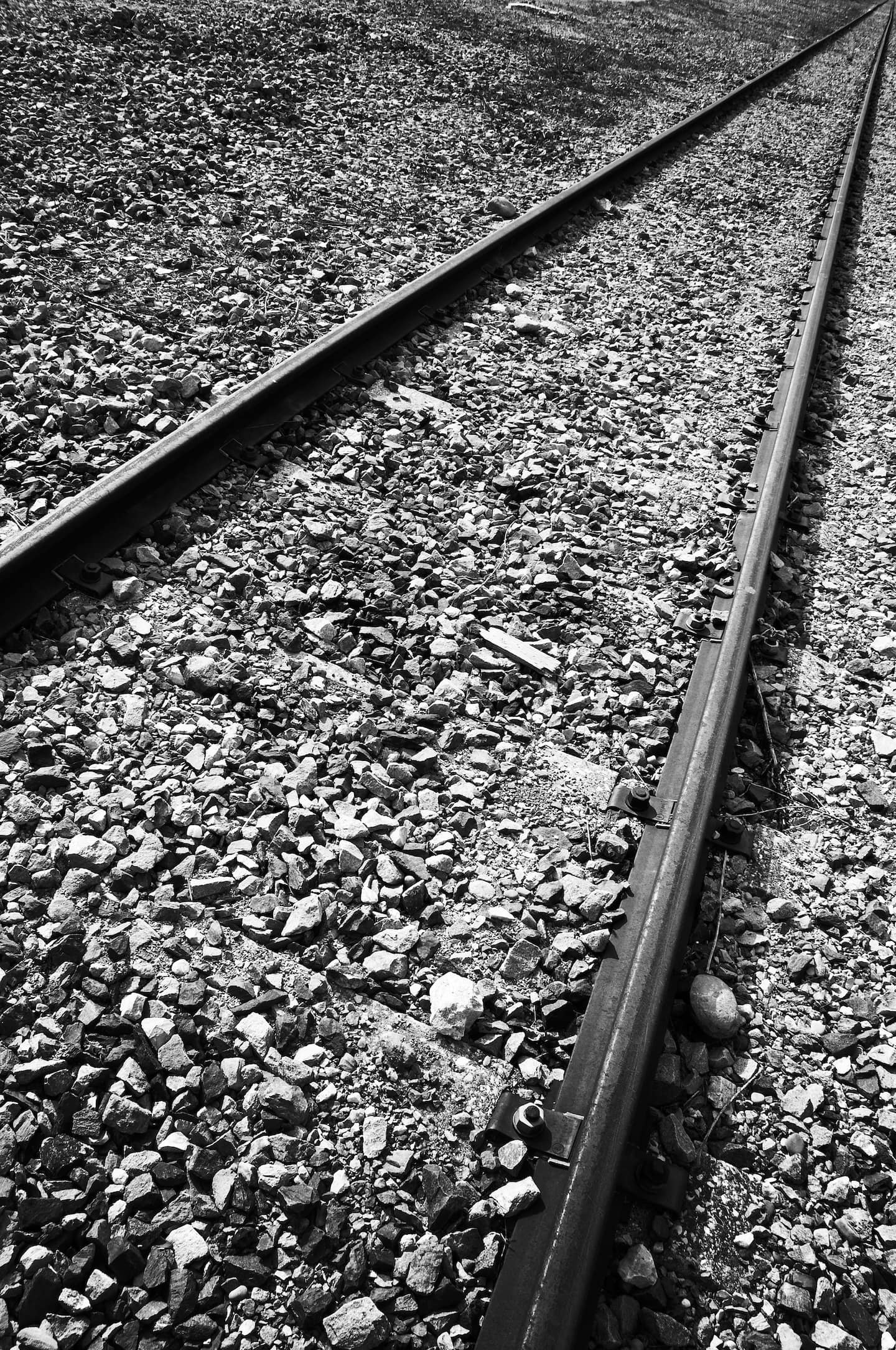 Toronto: three young people come close to death while crossing a railway