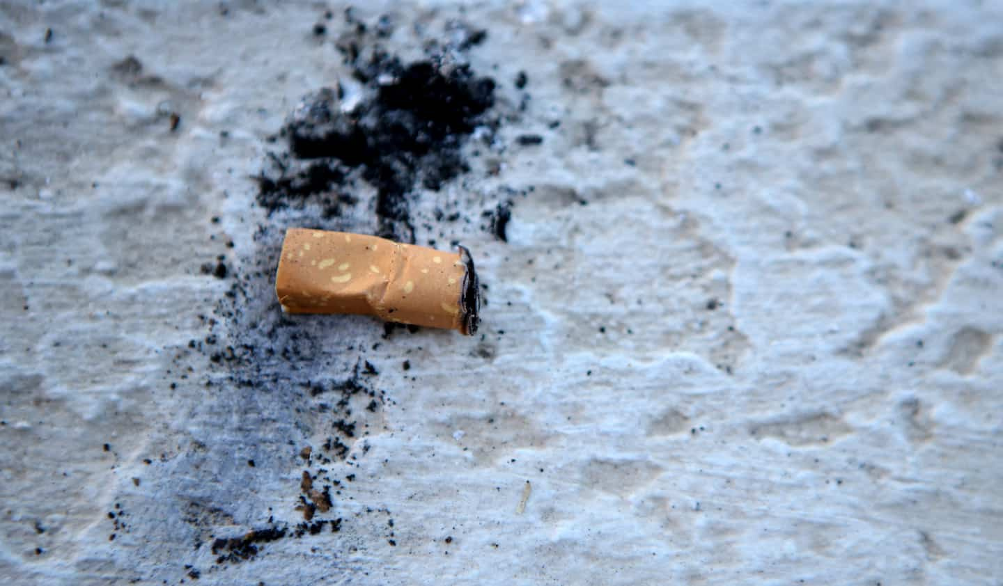 The tobacco industry, a “poison” also for the environment, according to the WHO