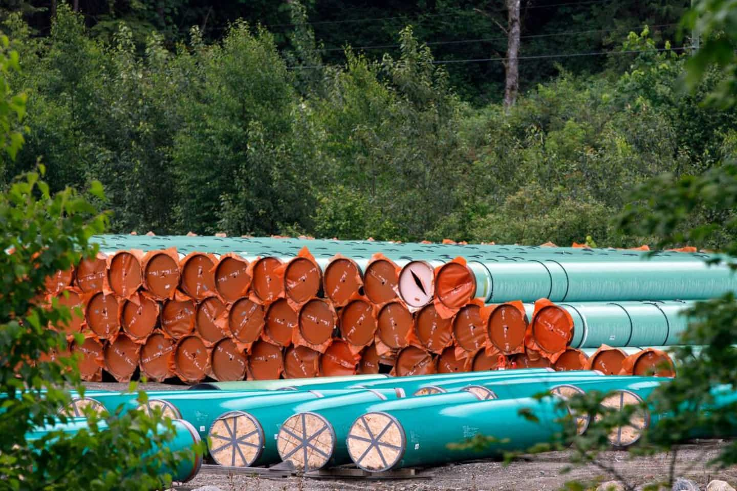 The controversial Trans Mountain pipeline, a financial “loss” for Canada