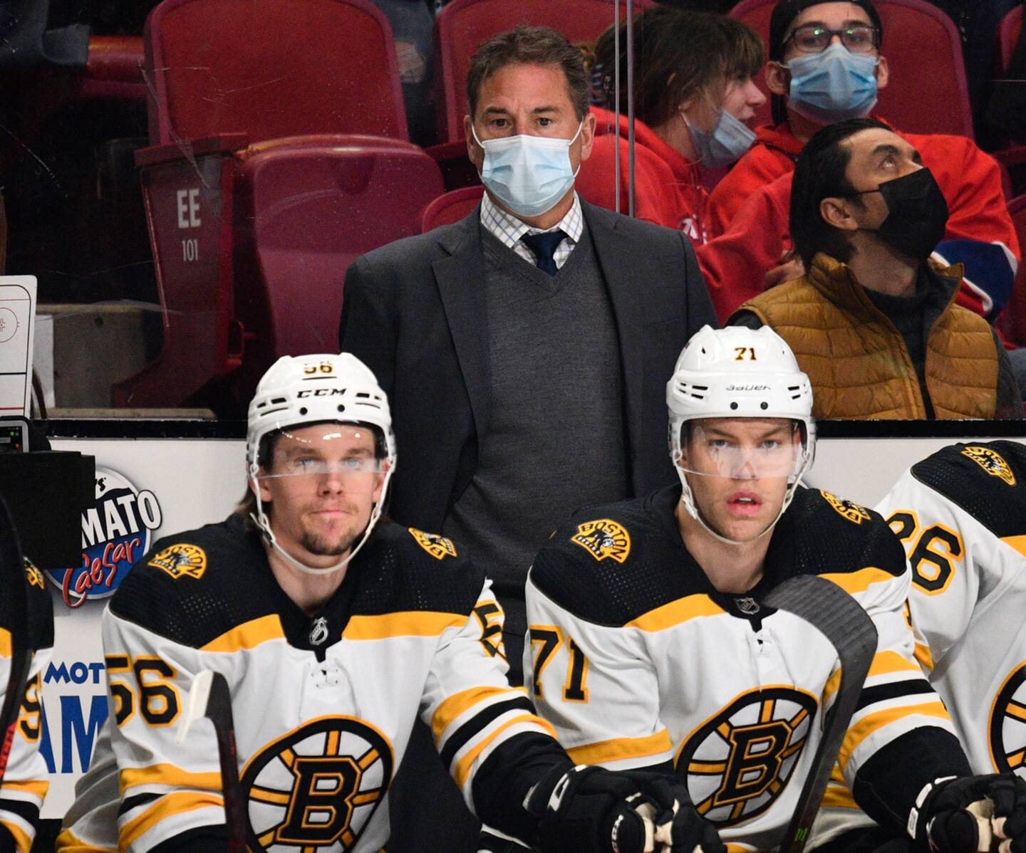 Did the Bruins lie to Bruce Cassidy?
