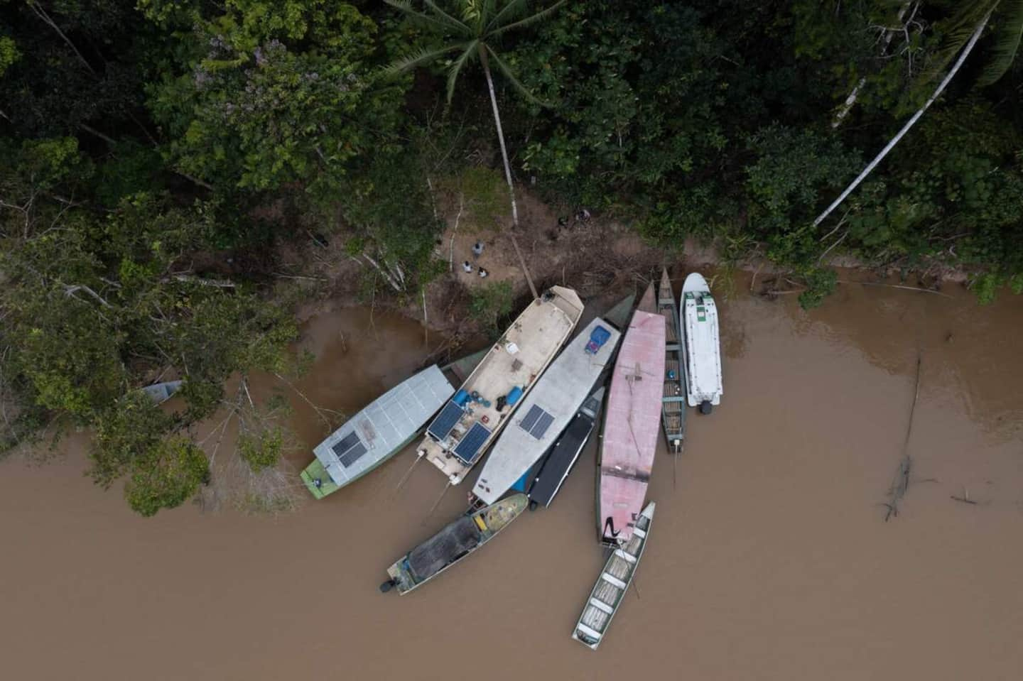 Disappearance of two men in the Amazon: what we know
