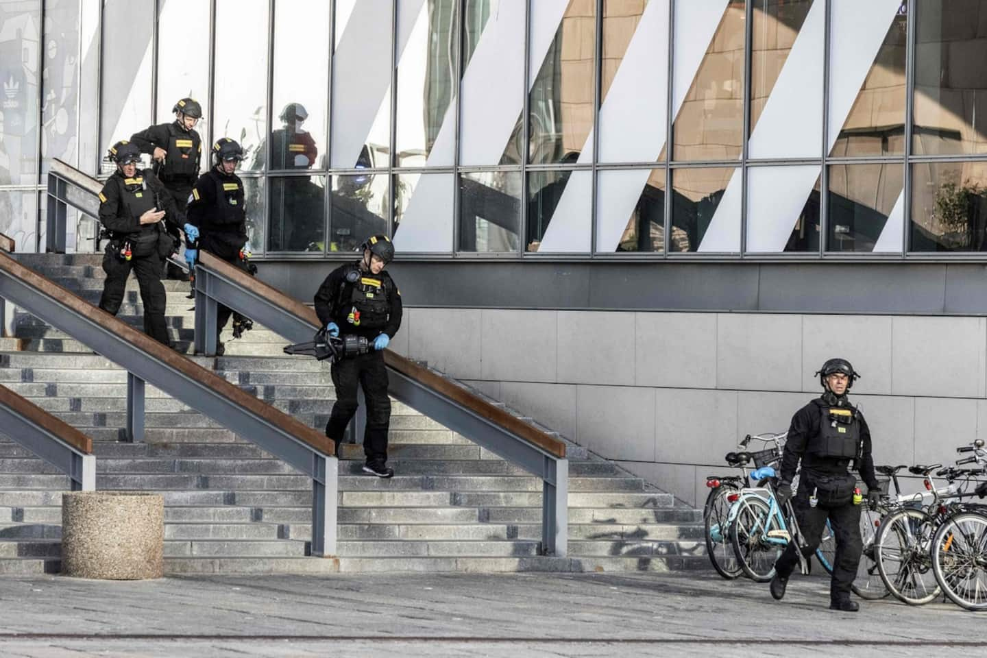 Shooting in Copenhagen: Alleged shooter has psychiatric history
