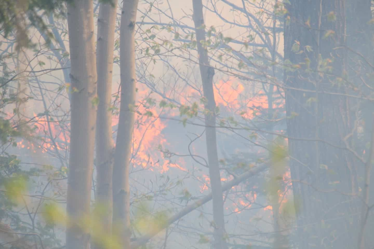 Forest fires in Manitoba: an evacuation operation for the Red Cross