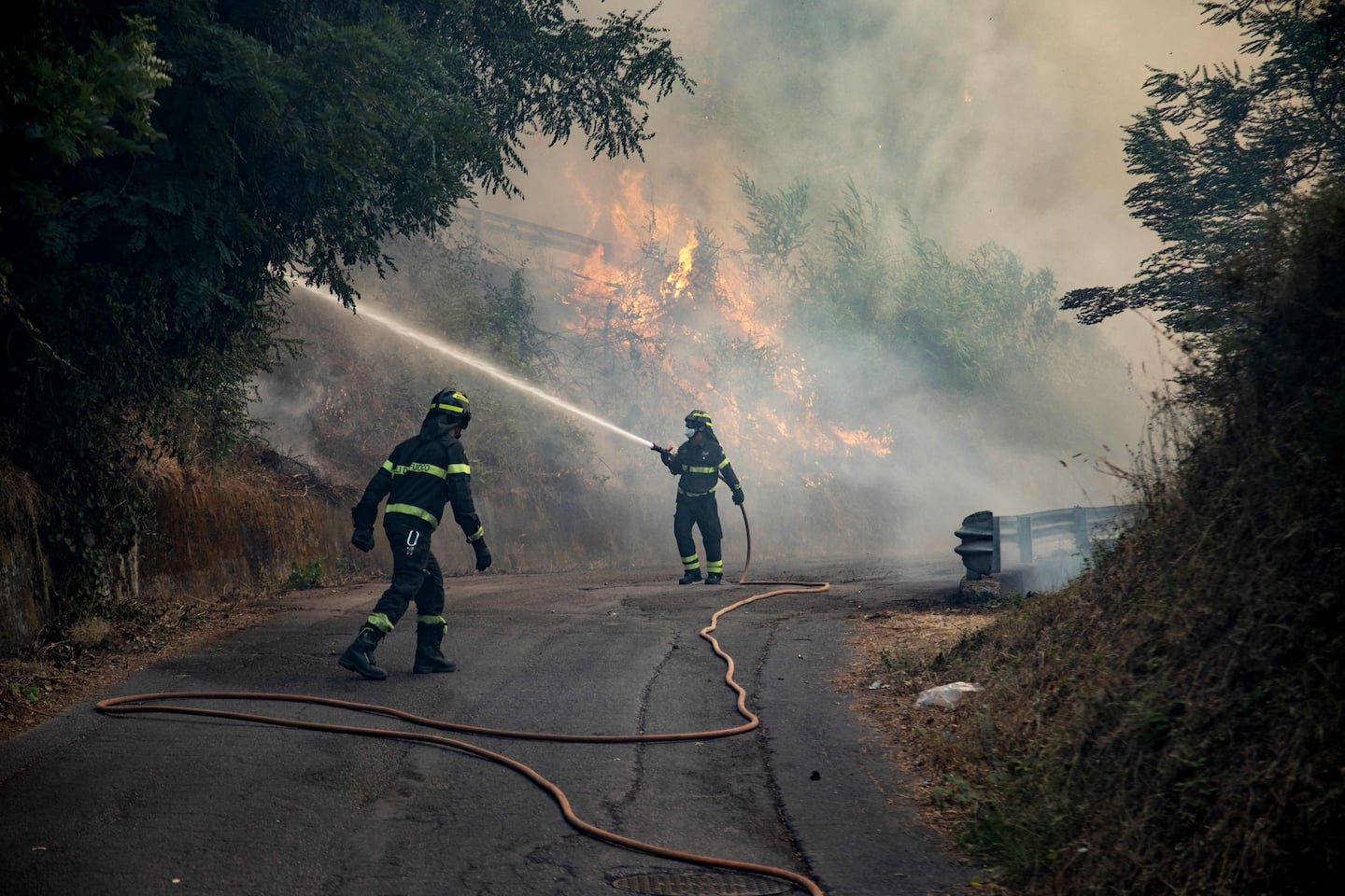 Italy facing fires and heatwave: 16 cities on red alert