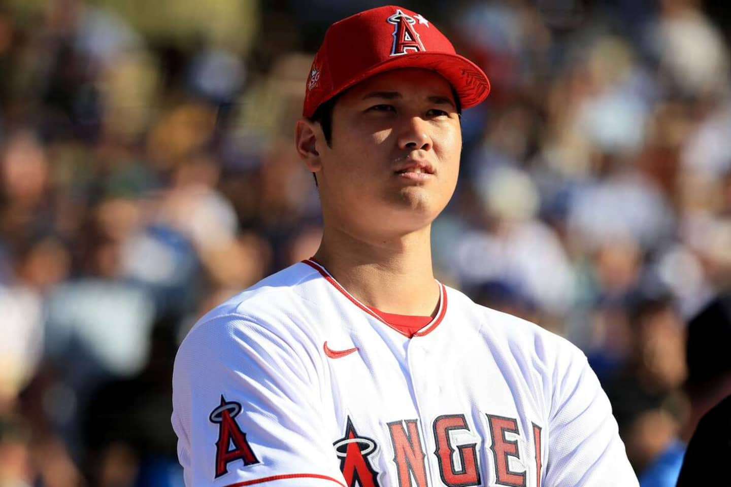 "MVP" of the American: a very long reign of Shohei Ohtani?