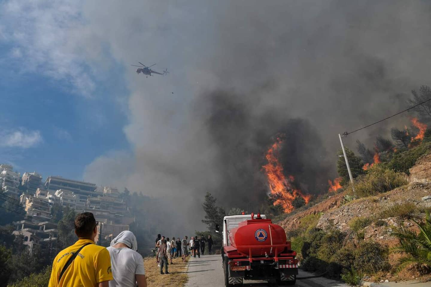 Greece: A forest fire threatens a large olive grove in the center of the country