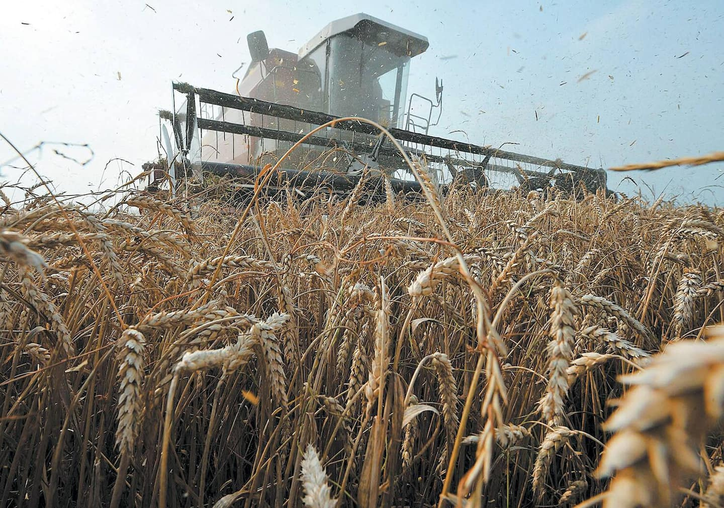 Russia suspends participation in Ukrainian grain export deal