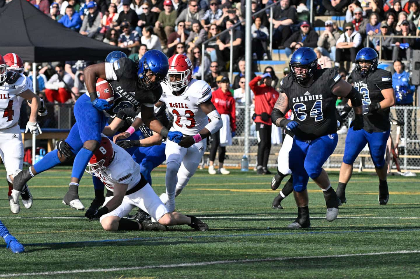 The Carabins find their way back to victory