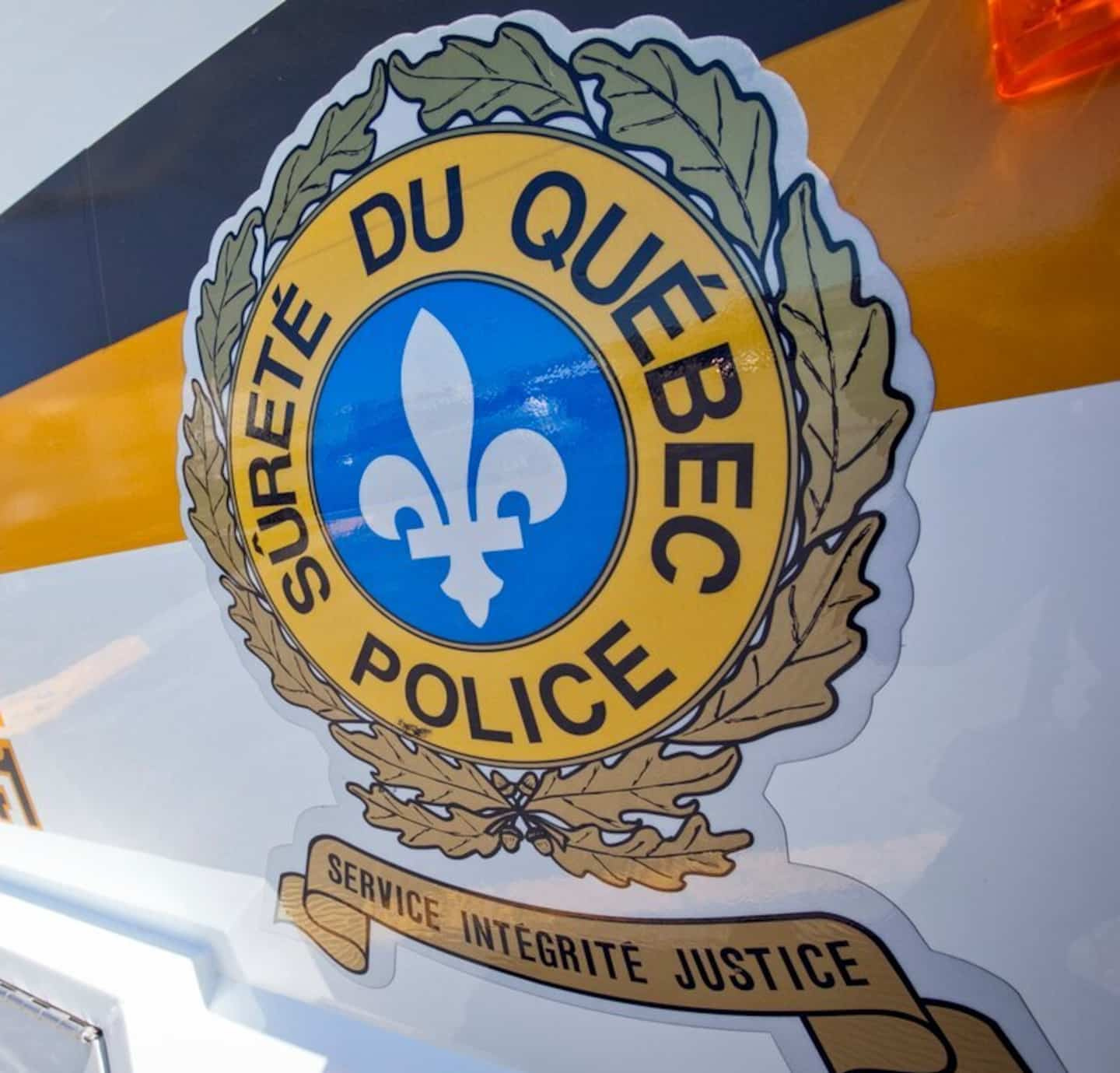 Beauce: a young driver seriously injured in a collision with cows