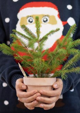 RELEASE: Green Christmas Gifts: A Pencil and Plantable Makeup from SproutWorld