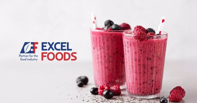STATEMENT: EXCEL FOODS collaborates with the CEDEC business consultancy with the aim of consolidating its growth