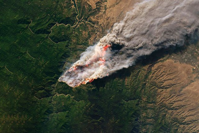 STATEMENT: The increase in forest fires is a permanent risk for global carbon markets
