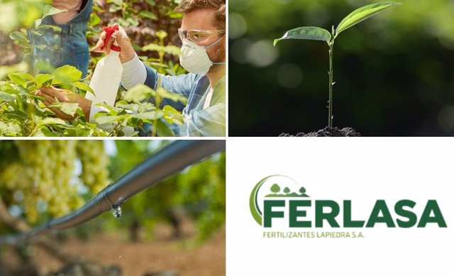 COMMUNICATION: FERLASA consolidates its strategic growth plan and maintains its collaboration with CEDEC consultancy