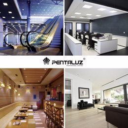 STATEMENT: PENTALUZ consolidates its growth while maintaining its collaboration with the CEDEC business consultancy