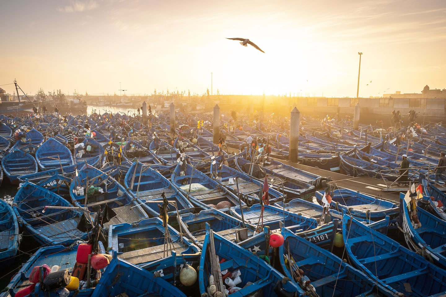 Photo objective: Essaouira, the city of blue boats
