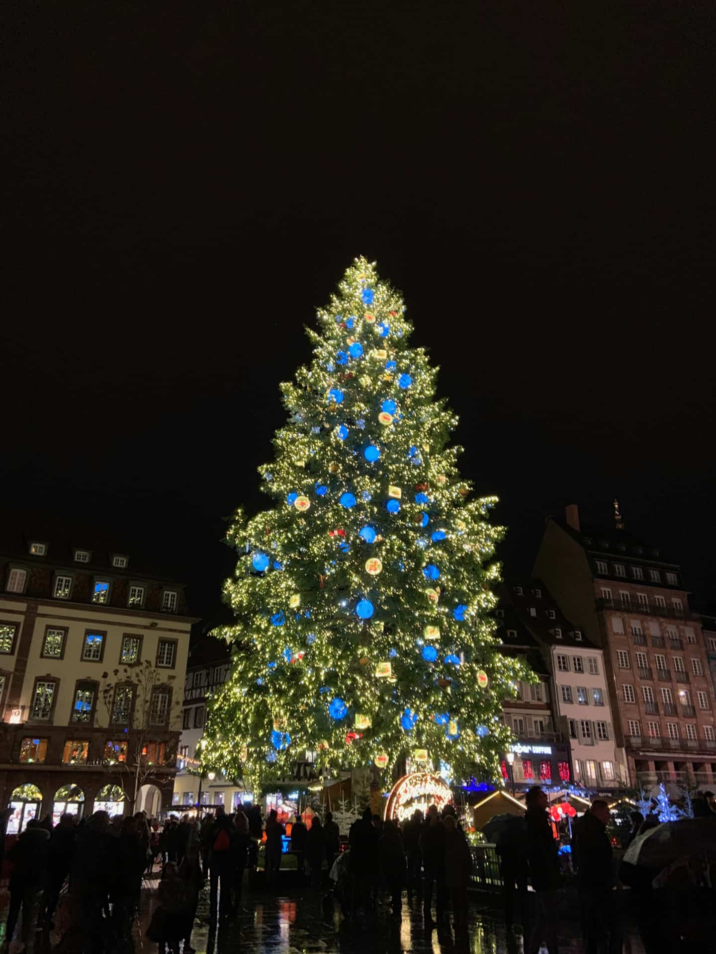 Alsace: journey to the land of Christmas