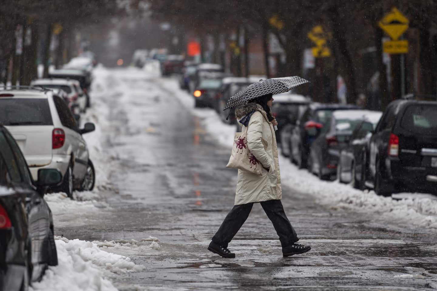 Quebec: gray and cloudy weather continues Tuesday