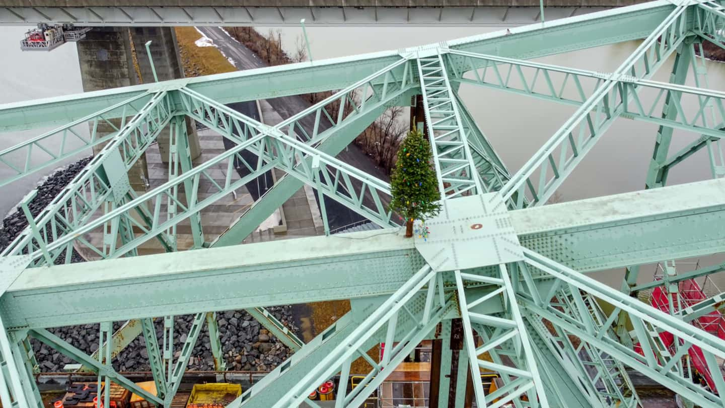 A fir tree appears on the Champlain Bridge, as if by magic