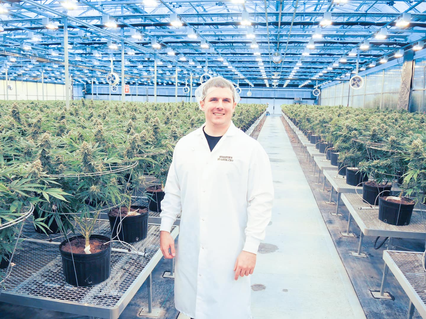 The jackpot for two ex-managers of cannabis producer HEXO