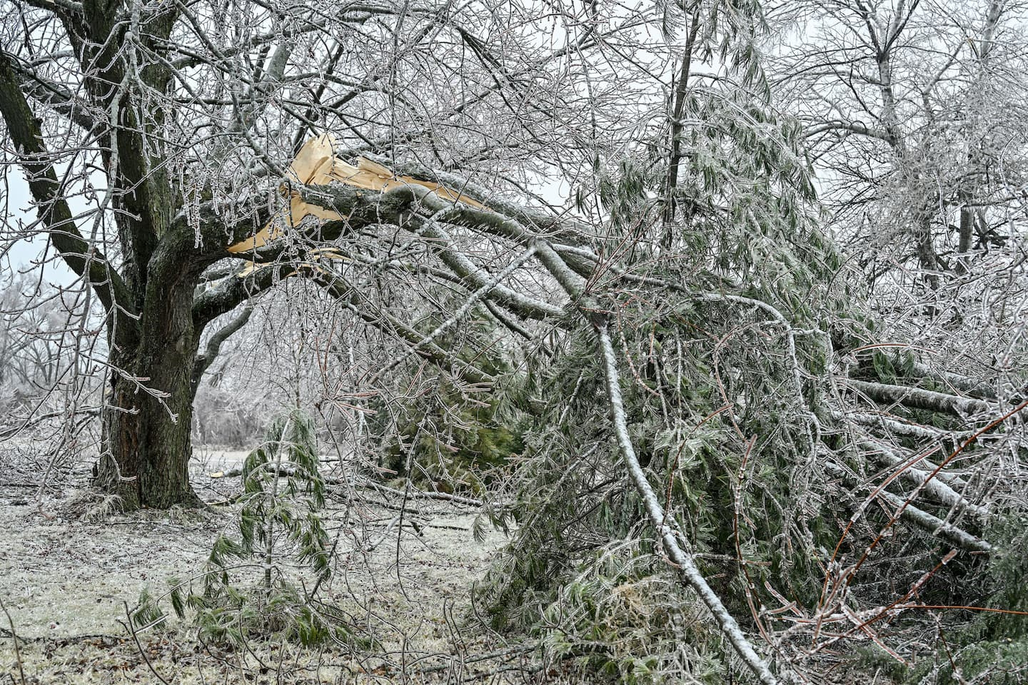 A reminder of the ice storm