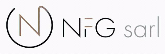 RELEASE: NFG announces that its subsidiary NFG Partners SA has successfully obtained its FINMA license