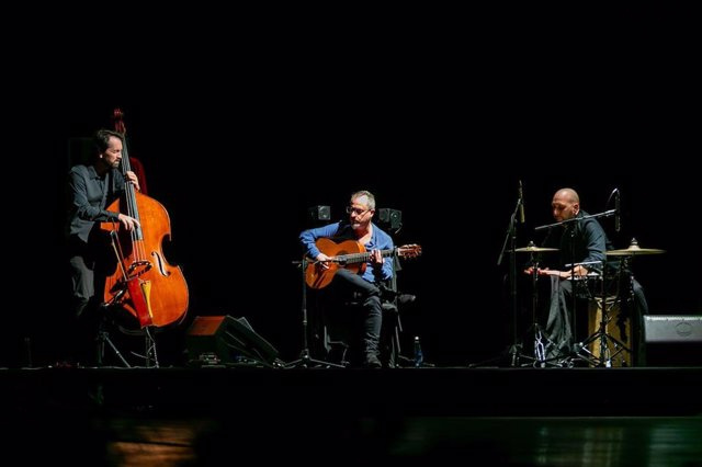 STATEMENT: The 'Andalusia: History and Civilization' Initiative Committee successfully concludes the 'Flamenco Night'