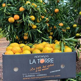 STATEMENT: Naranjas la Torre: Taste of Valencia straight to the home