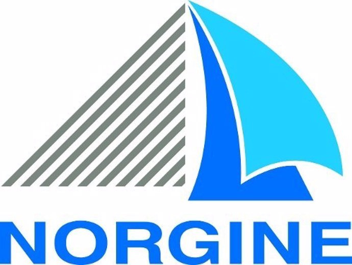 COMUNICADO: Norgine B.V. submits Marketing Authorisation Application via Project Orbis for eflornithine (difluoromethylornithine [DF