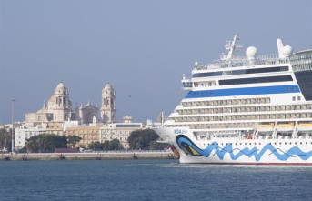 Endesa will be the first company to offer electricity supply services to cruise ships in the Port of Cádiz
