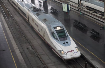 Eleven young people from a bachelor party on board an AVE will pay Renfe 7,676 euros for delaying the train