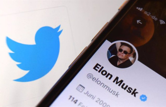 Musk considers that he is "overpaying" for Twitter