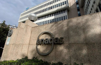 Enagás raises its profit to 353.4 million as of September and is on track for its profit target for the year