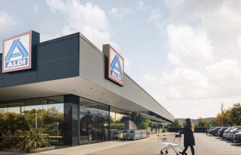Aldi will open more than 40 stores until the end of the year and will hire more than 1,000 employees in the last four months