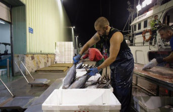 The Sustainable Fishing Law, before its last vote in Congress