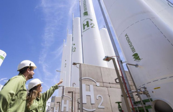 Iberdrola will build the first green ammonia plant in Southern Europe, with an investment of 750 million