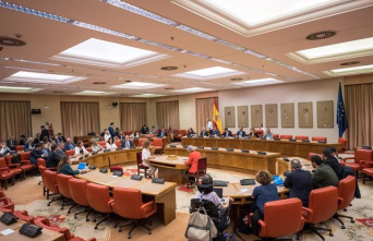 Congress leaves the validation of the last anti-crisis decree for after 23J