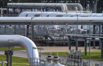 Germany will try to reconvert its gas infrastructure to hydrogen transport