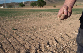 BBVA launches a 6-year loan to farmers affected by the drought and possible grace period in the first