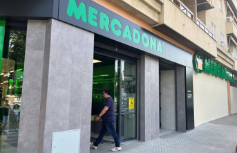 Mercadona invests 17.5 million this year in expanding and improving its network of stores in Seville