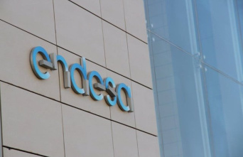 Endesa seeks the entry of a minority partner for a portfolio of about 2,000 renewable MW