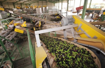 Agriculture estimates final stocks of olive oil at 247,284 tons