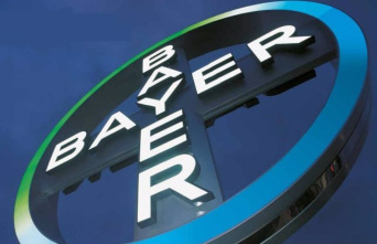 Bayer falls more than 21% after suspending the study of a drug in development