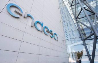 Endesa contains dividend for the next three years after the ruling against Qatar, but maintains investment