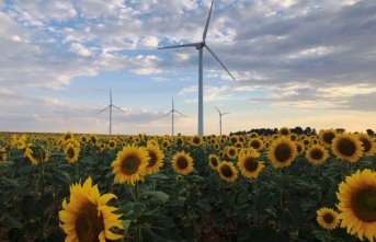Iberdrola will repower its first four wind farms in Spain and increase its production by 30%
