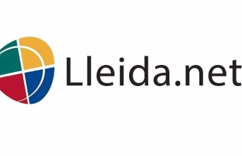 Lleida.net announces staff cuts and closure of subsidiaries due to the decline in sales until September