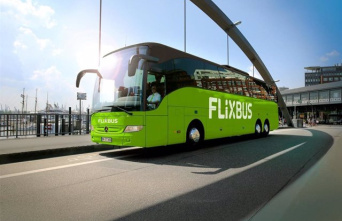 FlixBus asks Óscar Puente to be "brave" and open the bus market to competition